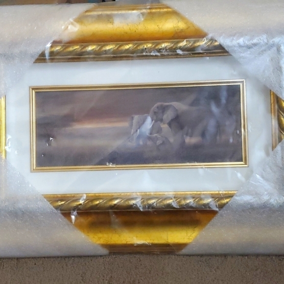 Personal Preference Framed Art Featuring Elephants In The Wild (NEW) - Picture 2 of 10